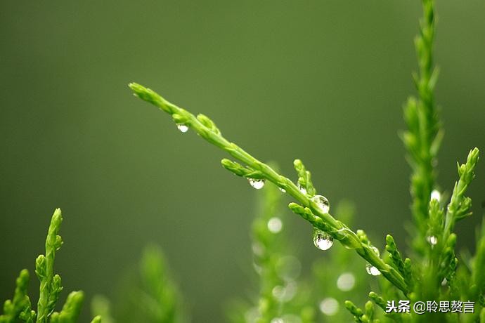 十首顶级哲理诗词名句,经典诗句励志古诗句