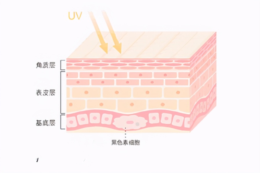 如何快速去痘印简单有效方法介绍,教你如何快速祛痘印最有效的方法