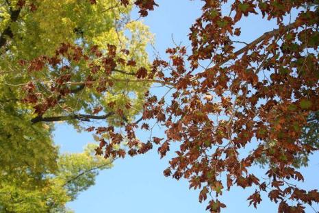 请查收你的养生小tips,秋冬骨病养生知识大全