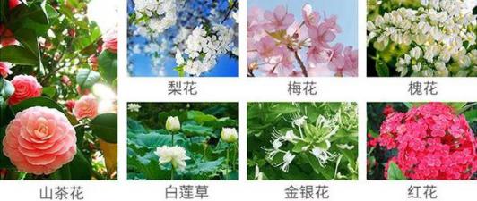 不老女神明星李英爱,51岁李英爱冻龄神颜的原因