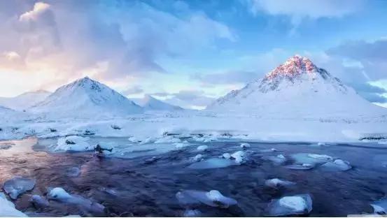 新疆三千年胡杨林白酒,探秘胡杨林