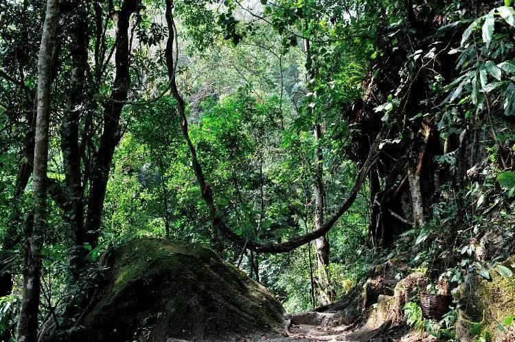 云南旅游泡温泉在哪里最好,去云南哪里泡温泉最好