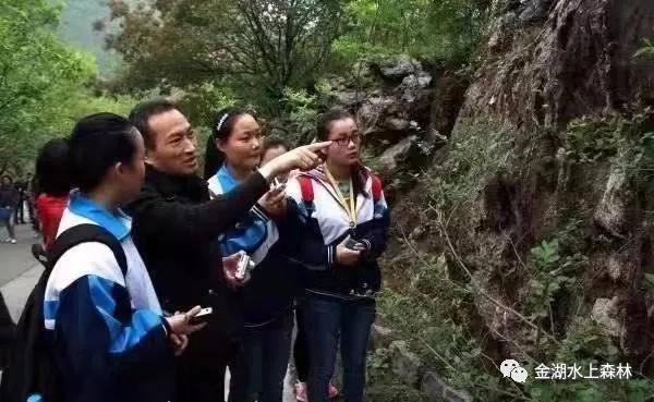 金湖水上森林公园最新森林探险,金湖水上森林公园到底好不好玩