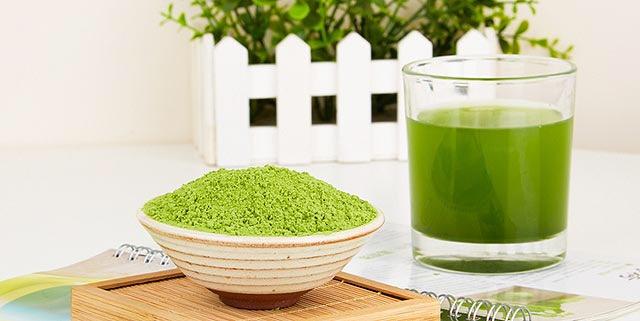 青汁到底好不好的视频,青汁为什么很火