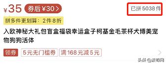 活体宠物塞入“盲盒”，拆开后是狗狗尸体！卖家：玩不起别买
