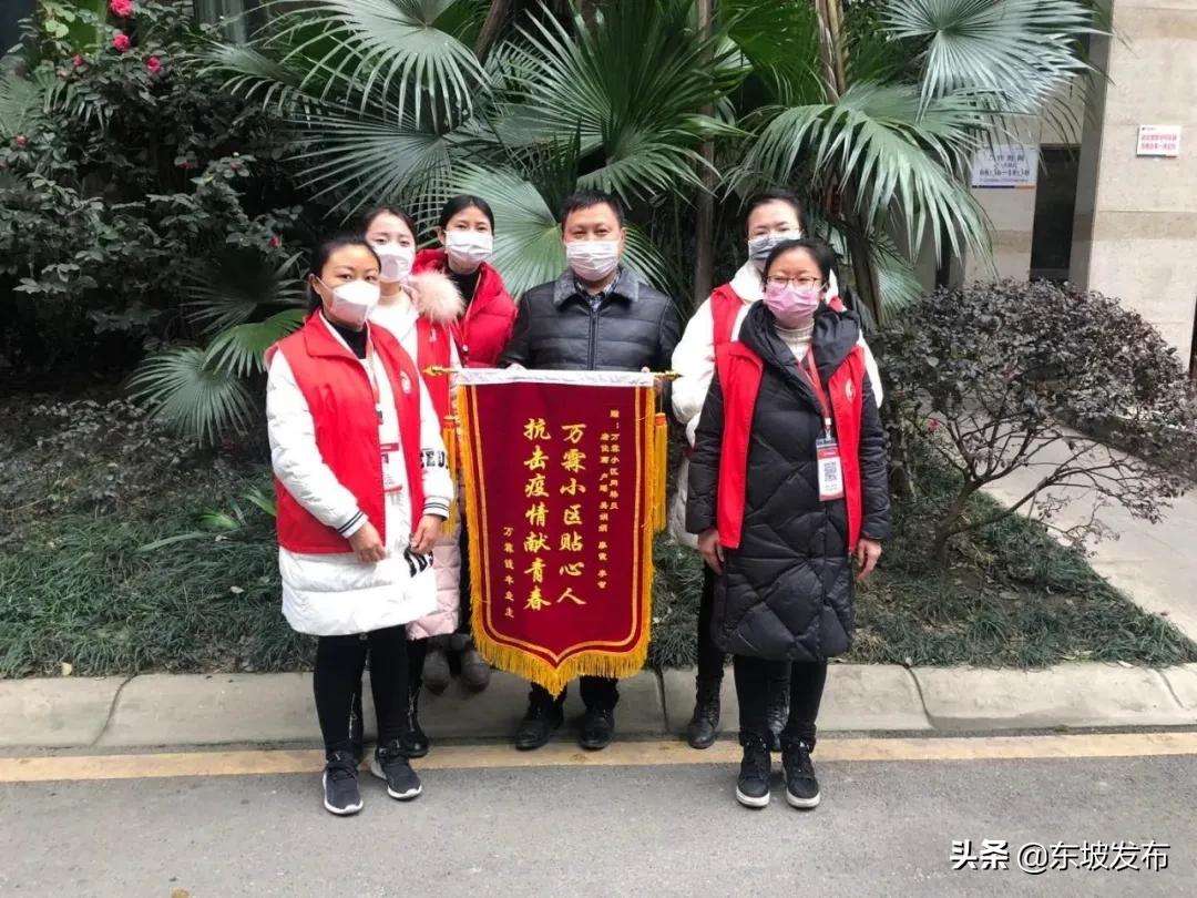 东坡网格员守初心,眉山东坡网格员