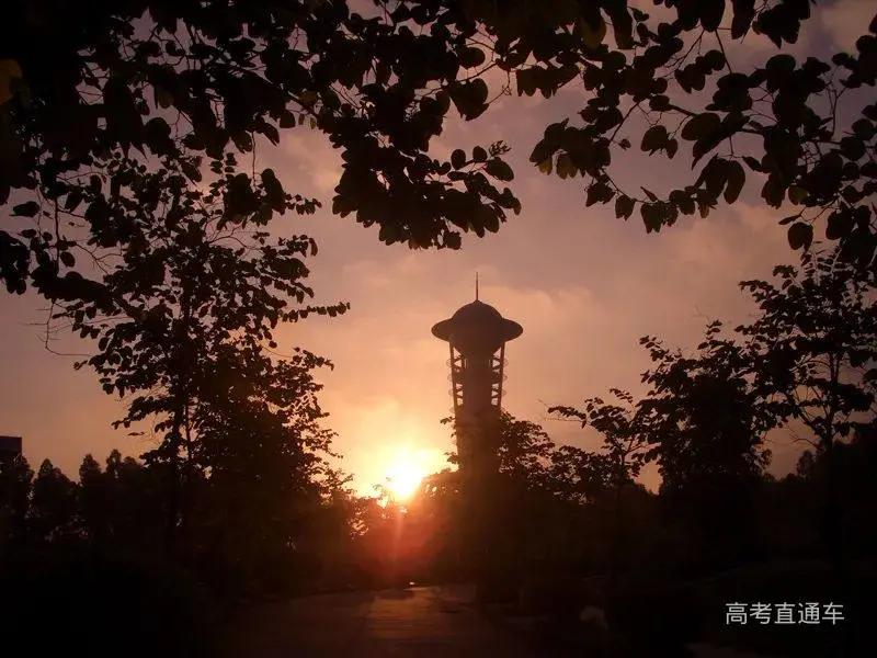 深职院在专科里面的排名,深职是全国最好大专吗