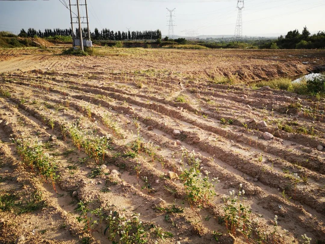 检察院典型公益诉讼案例修改意见,公益诉讼最高检指导案例第八批