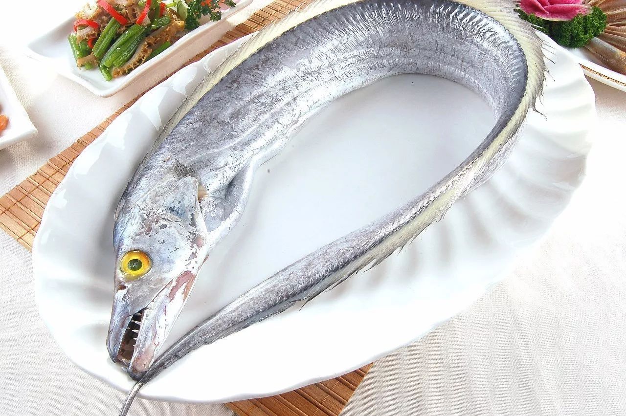 挑选带鱼老渔民教你看4点,如何挑选带鱼的正确方法