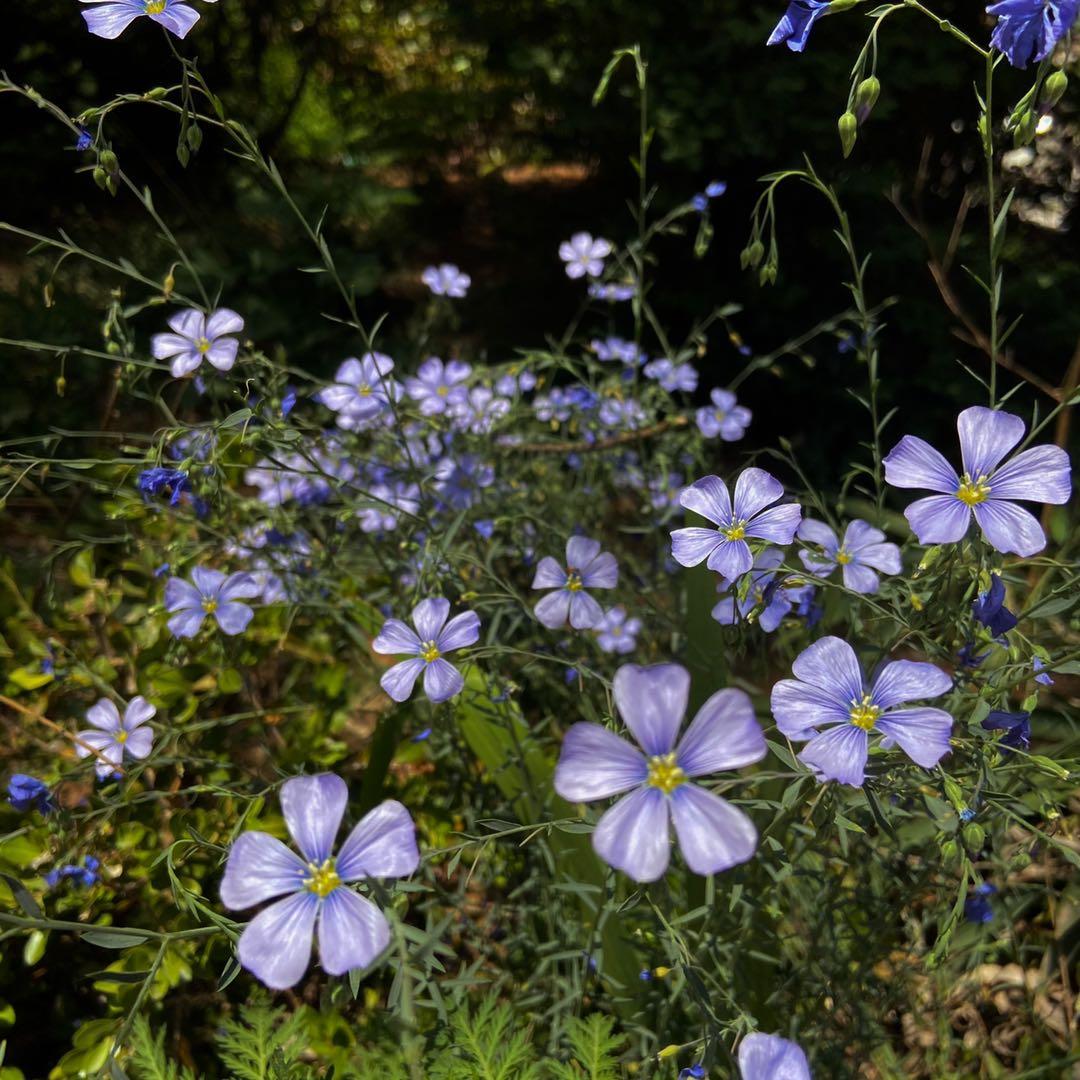 闲鱼运营技巧闲鱼赚钱的方法,如何在闲鱼上赚钱三个步骤详解