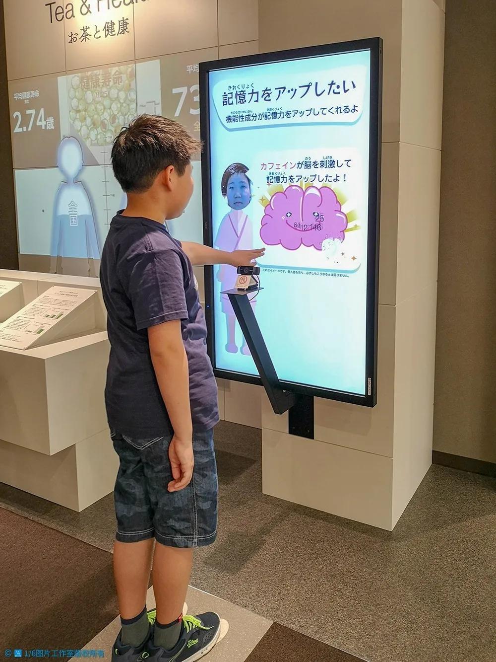 日本茶文化旅游,日本茶之都博物馆