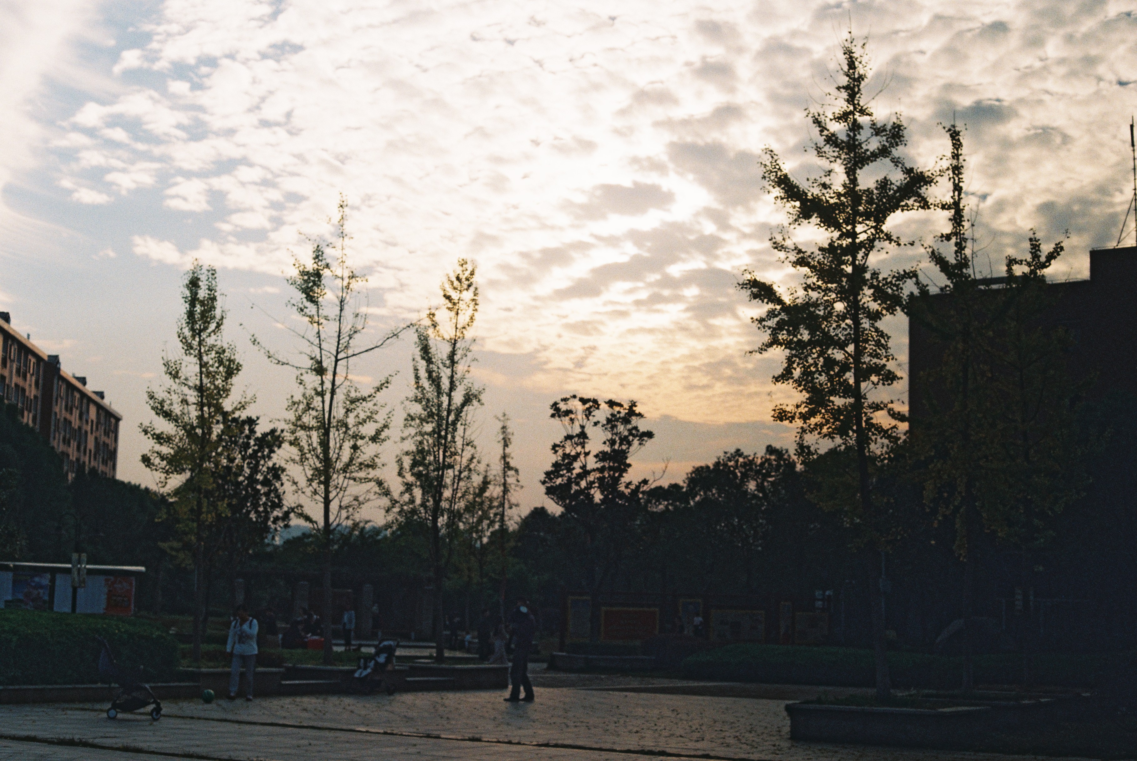 第一次拍了胶片怎么冲洗,坚持胶片拍摄的感受