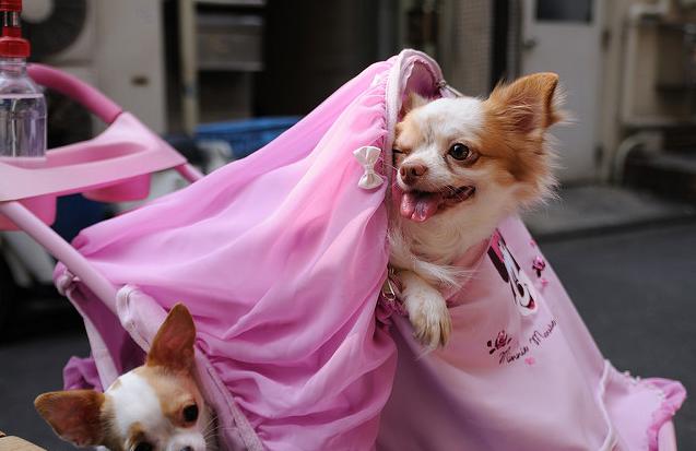 日本人都不曾在意的细节，11处日本的特有现象