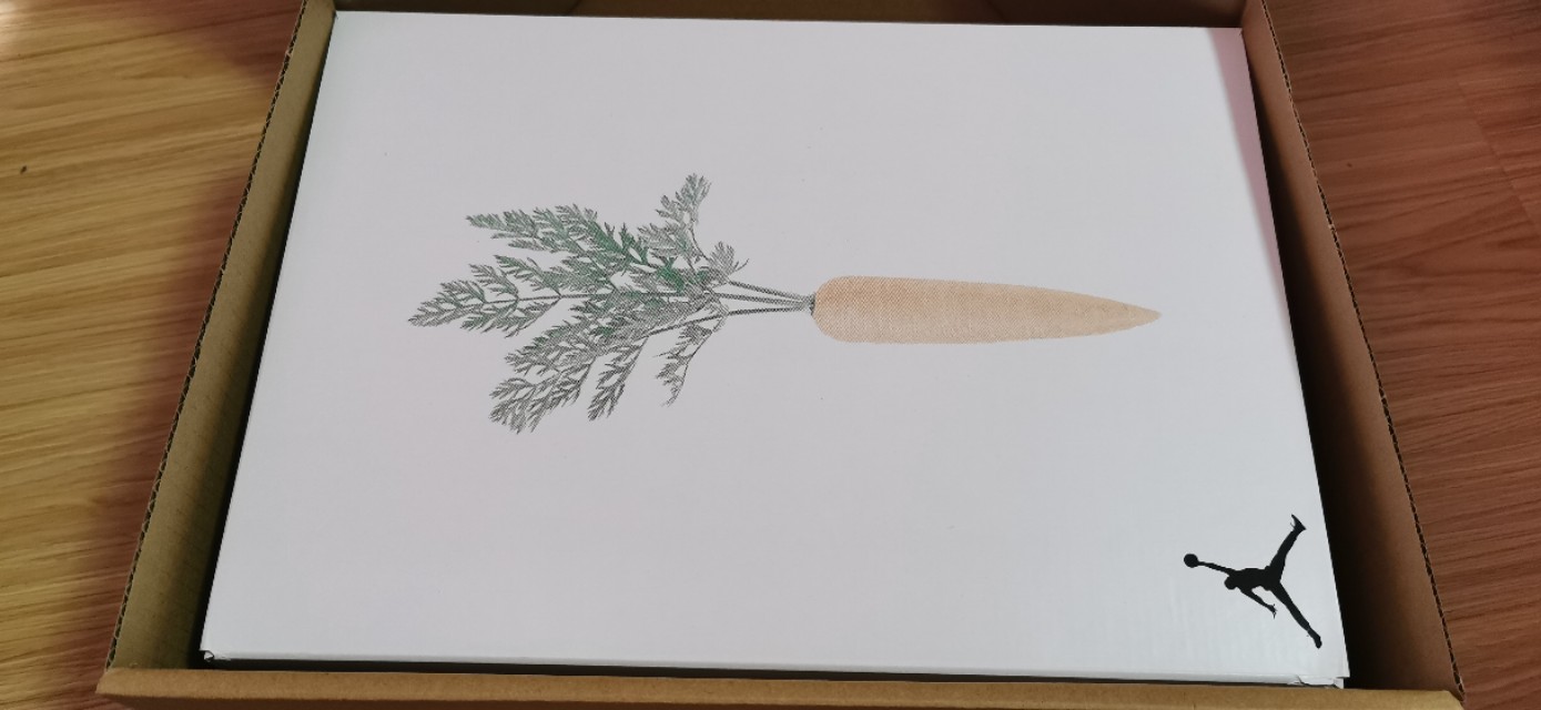 怪我太过美丽歌词,怪我太过美丽在线阅读