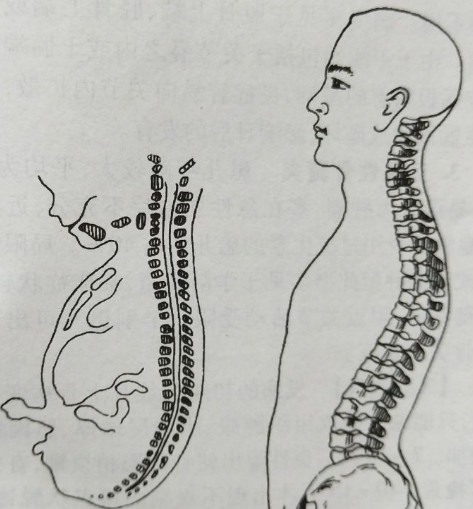 宝宝淹脖子导致破皮抹什么好得快,婴儿脖子淹了破皮可以擦紫草油吗
