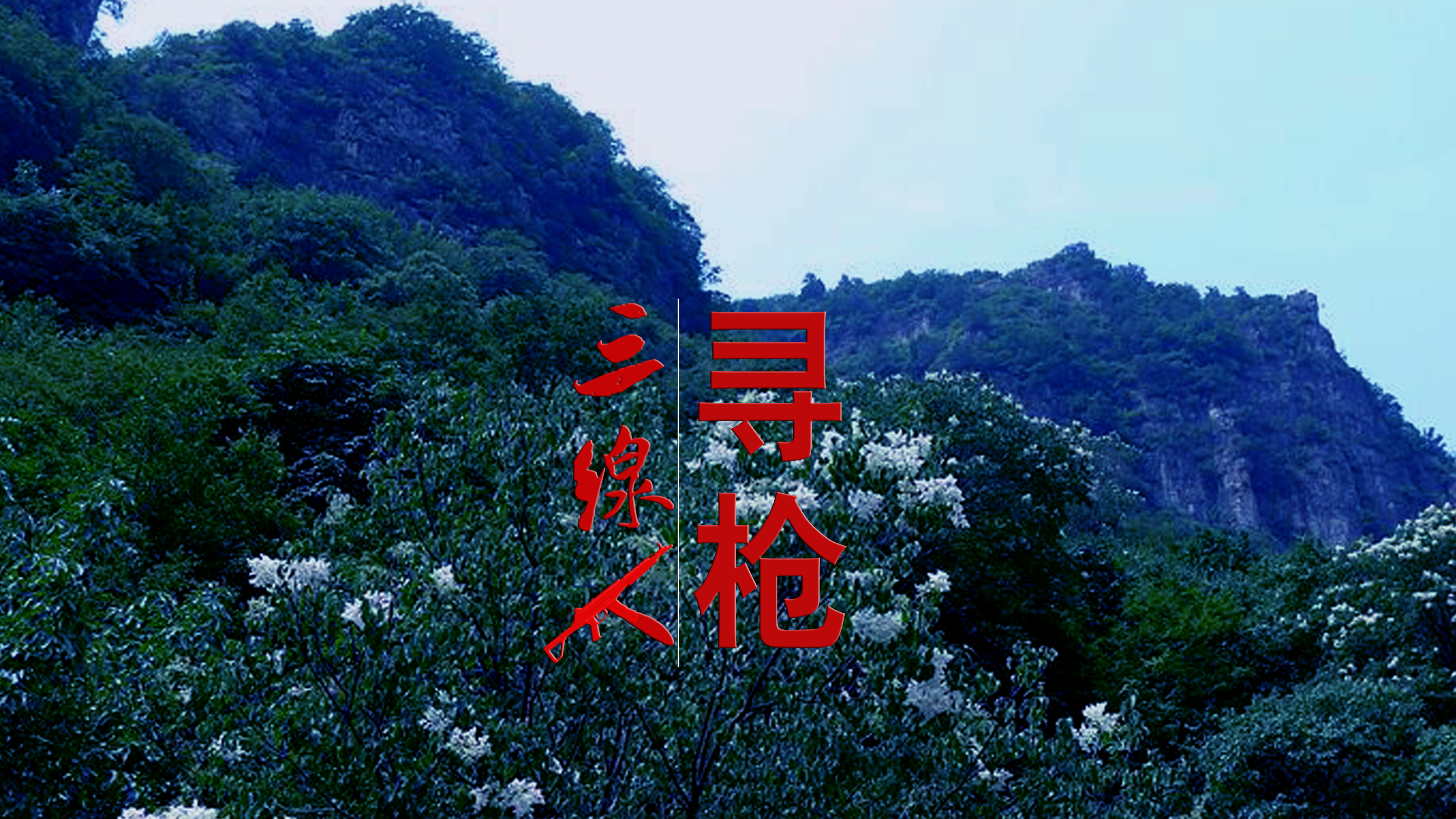 寻枪真实事件,中国十大神秘兵工厂代号