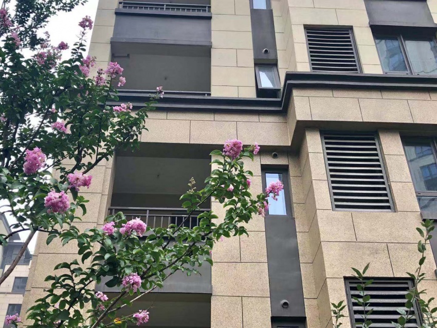 苏州楼盘探盘视频,实景现房网红楼盘