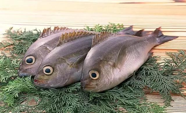 汕尾人吃海鲜,原来海边人是这样吃海螺的