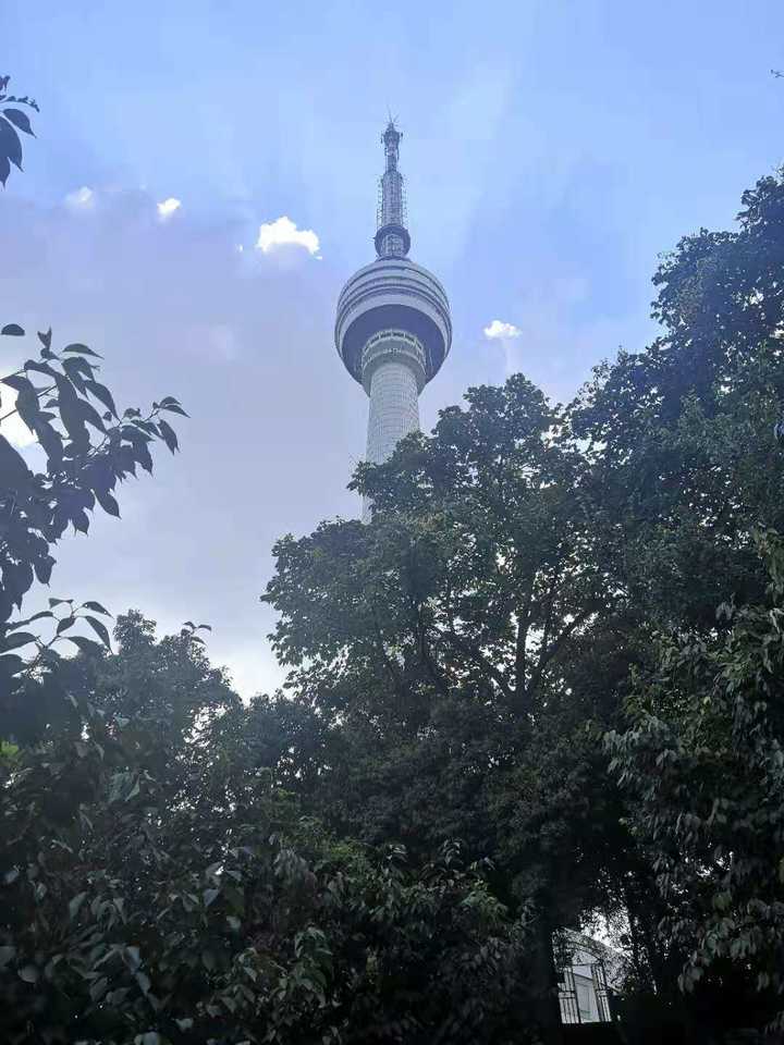 你们是否被*子骗**骗过钱？