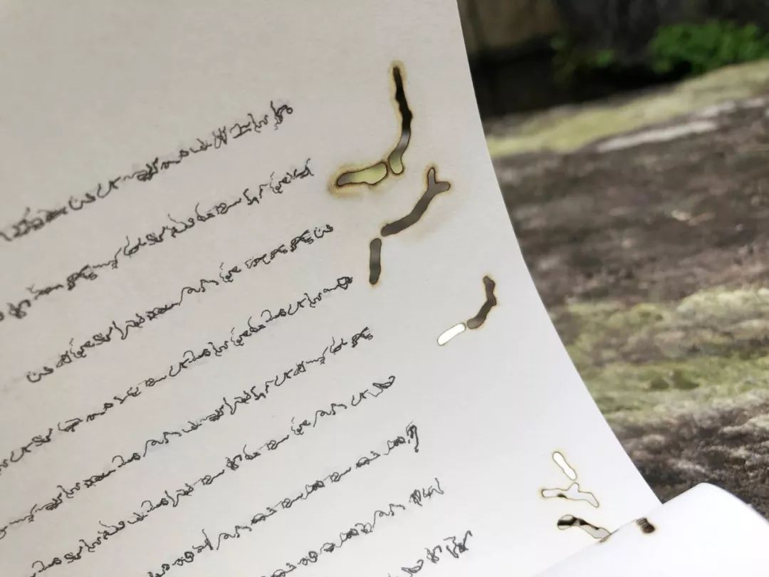 七月念“雀”,意思是七月像小鸟一样飞走了