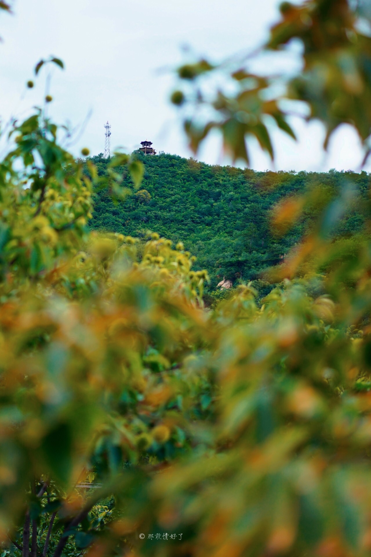 北京昌平带私人烧烤的民宿,昌平京郊民宿