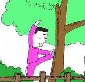 关于运动几个特别靠谱知识,关于运动的知识有哪些内容