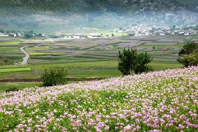 云南自驾5条最佳线路图,云南适合开车自驾的公路