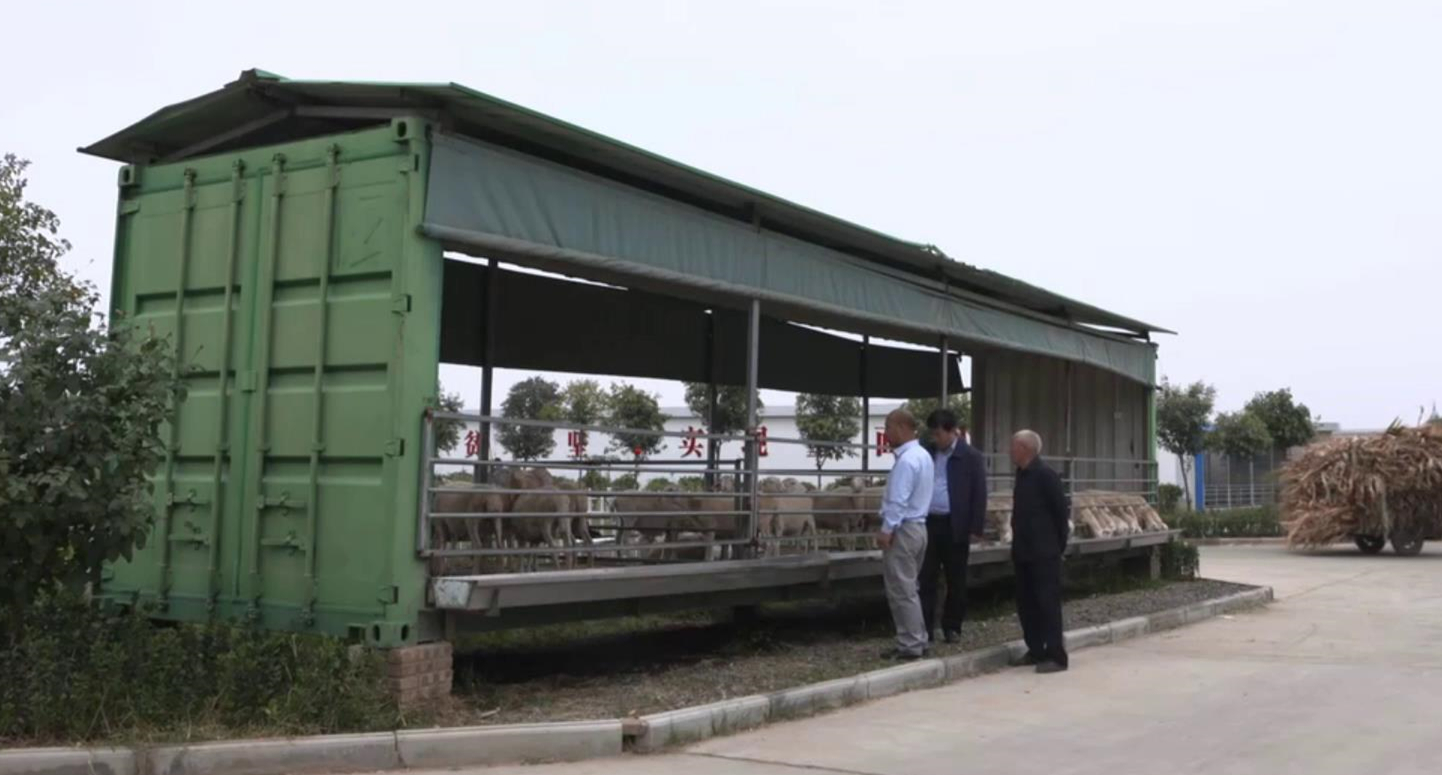 农村在家创业小型养殖可以吗,农村小投资养个10头羊能挣钱不