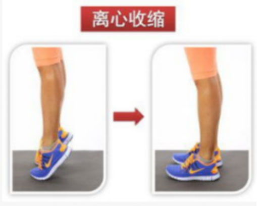 运动员筋受伤,运动员手筋受伤