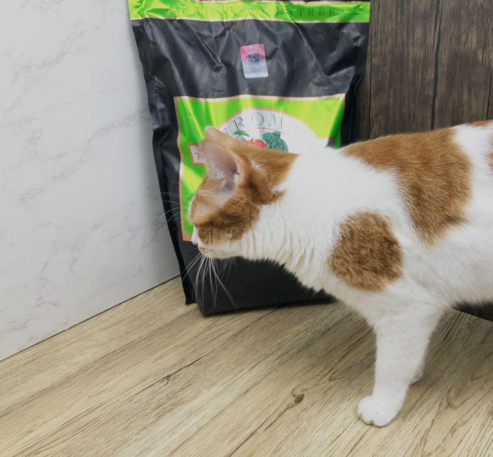 尼可多多猫粮靠谱吗,比乐猫粮官网靠谱吗