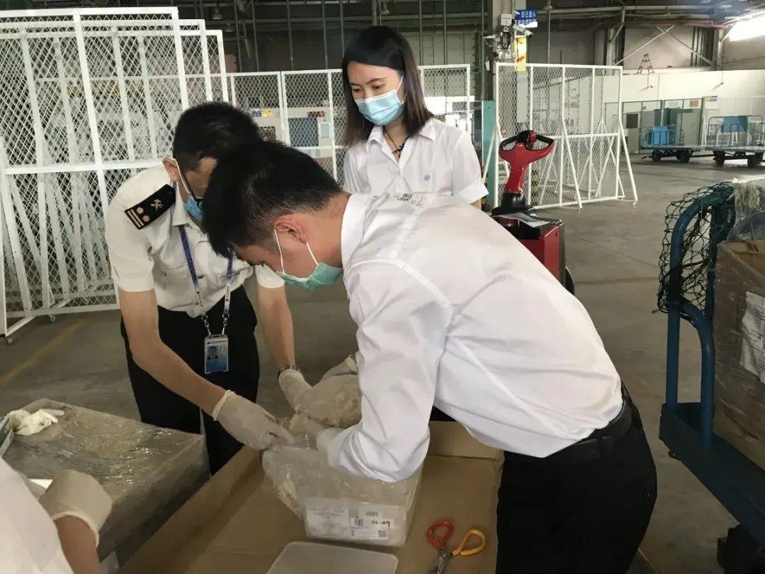 溯选君豪横送出￥7500元溯源马来西亚燕窝