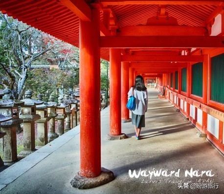 散步关西の日本深度自由行大阪都门奈良城崎、白滨温泉（上篇）