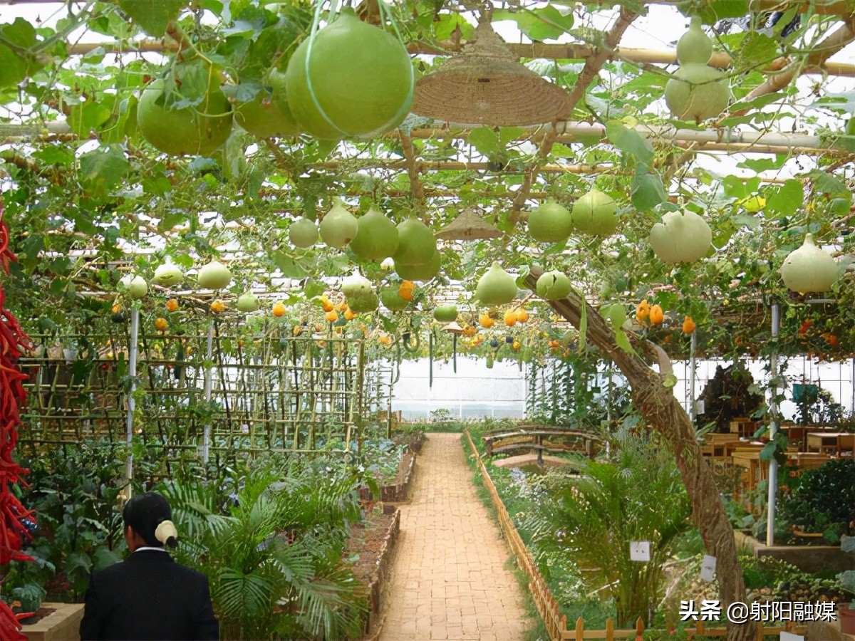 射阳县各村名单,射阳县各乡镇村名单