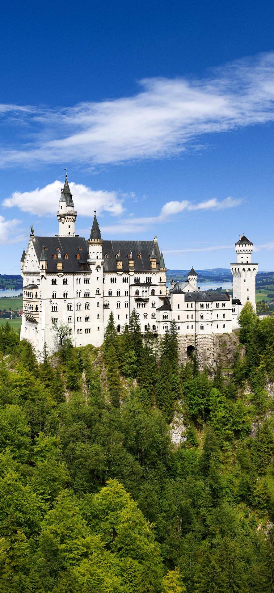 苹果12内置原生壁纸,各大品牌手机自带官方壁纸