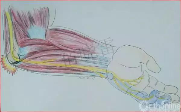 手绘科普视频,手绘类科普