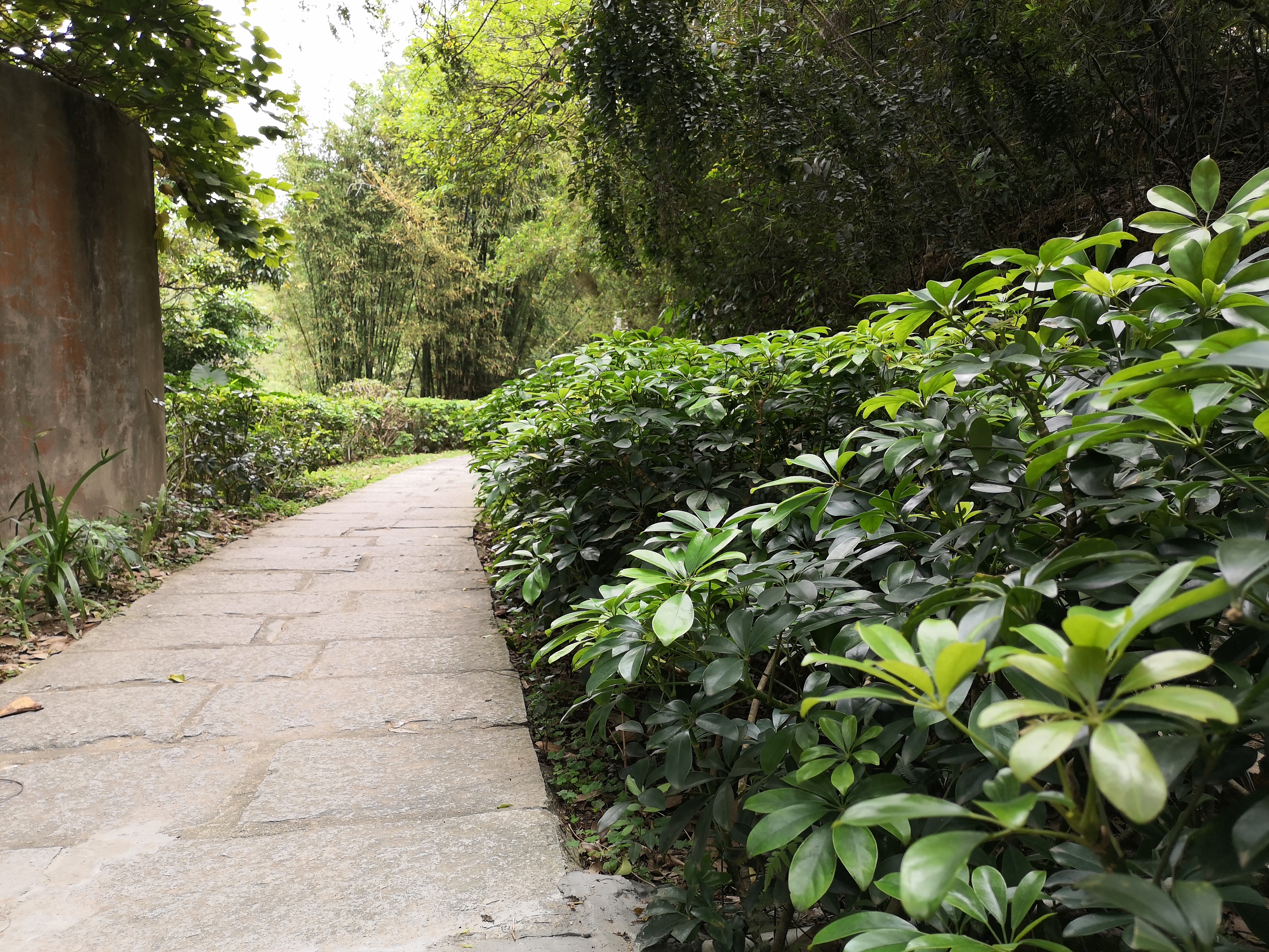 东莞水濂山森林公园爬山要不要钱,东莞水濂山森林公园可以爬山吗