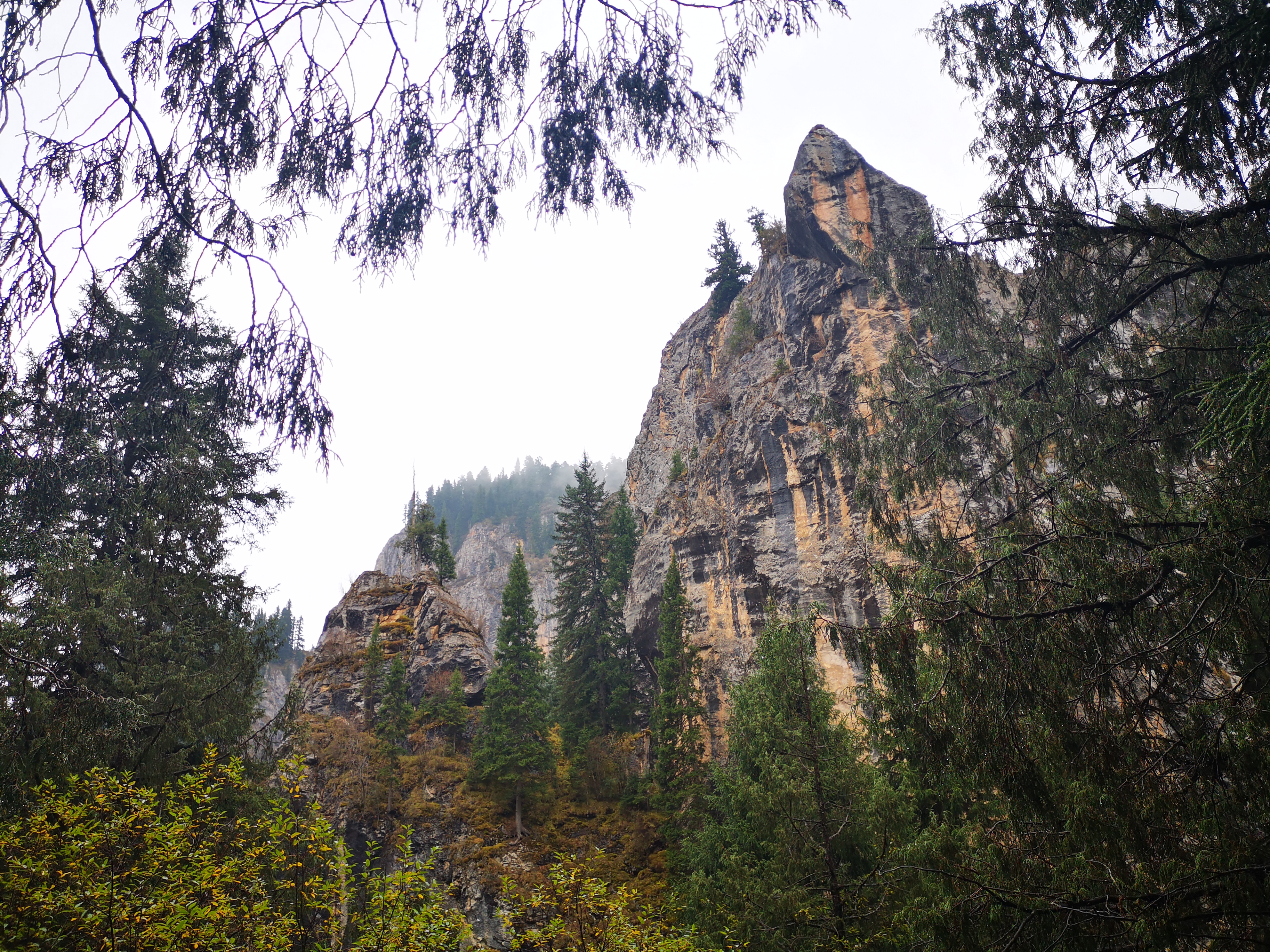 则岔石林游记,尕海湖和则岔石林