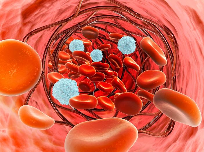 血常规检查哪些指标高了马上干预,血常规最怕三种指标偏高一点点