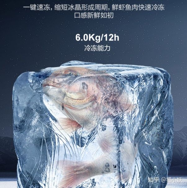 卡萨帝日立东芝博世哪个好,东芝西门子卡萨帝冰箱选哪款