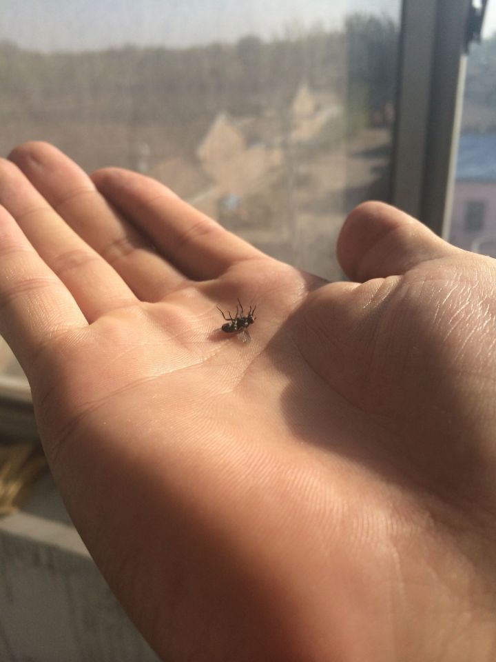 生活技巧防小偷,生活中的防偷小技巧