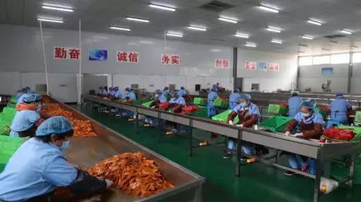 抗疫勇担当党员作表率,抗疫中的党员先锋模范