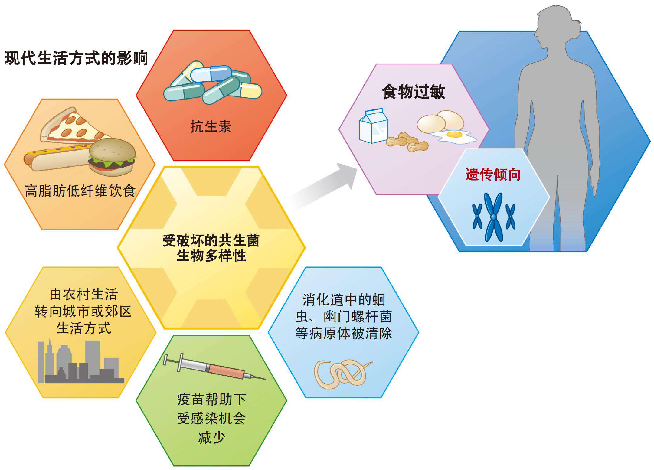 肠道菌群研究思路与案例解析,肠道菌群研究分析方法进展