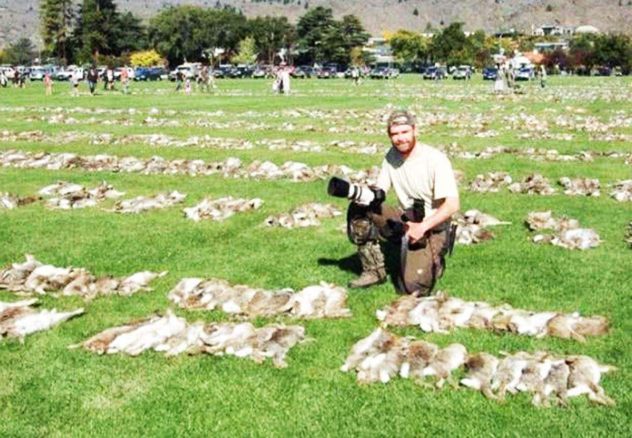 澳洲兔子的百年大战,澳洲人和兔子百年之争