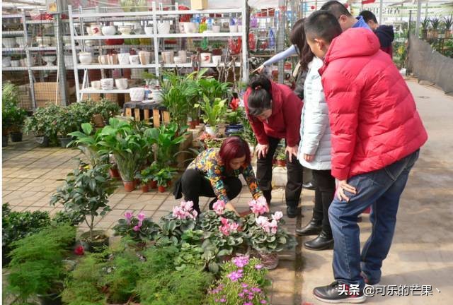 现在进石家庄批发市场要什么 (石家庄各个批发市场在哪)