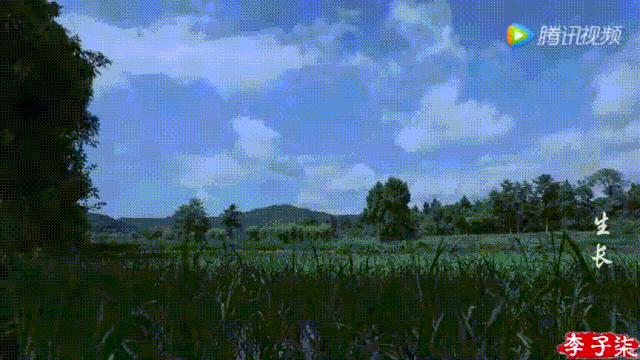 李子柒视频转场技巧,李子柒拍摄视频技巧