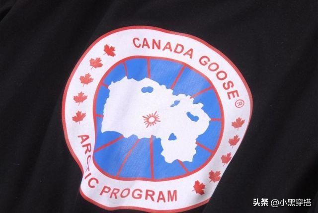 和加拿大鹅一个级别的羽绒服,与加拿大鹅媲美的户外羽绒服