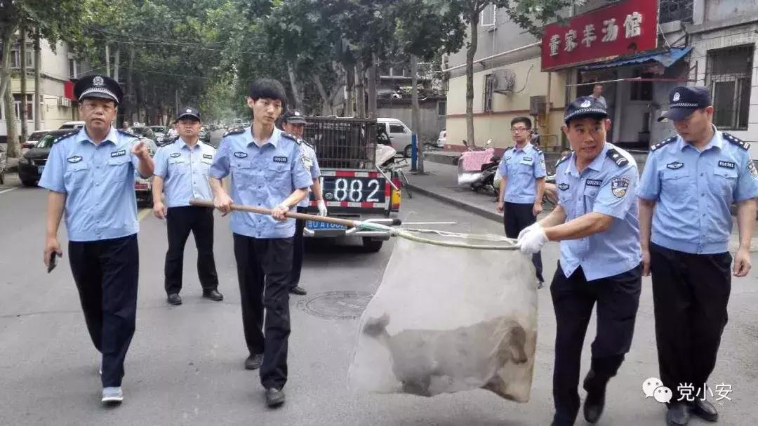 治安警察支队的一天,治安警的一天
