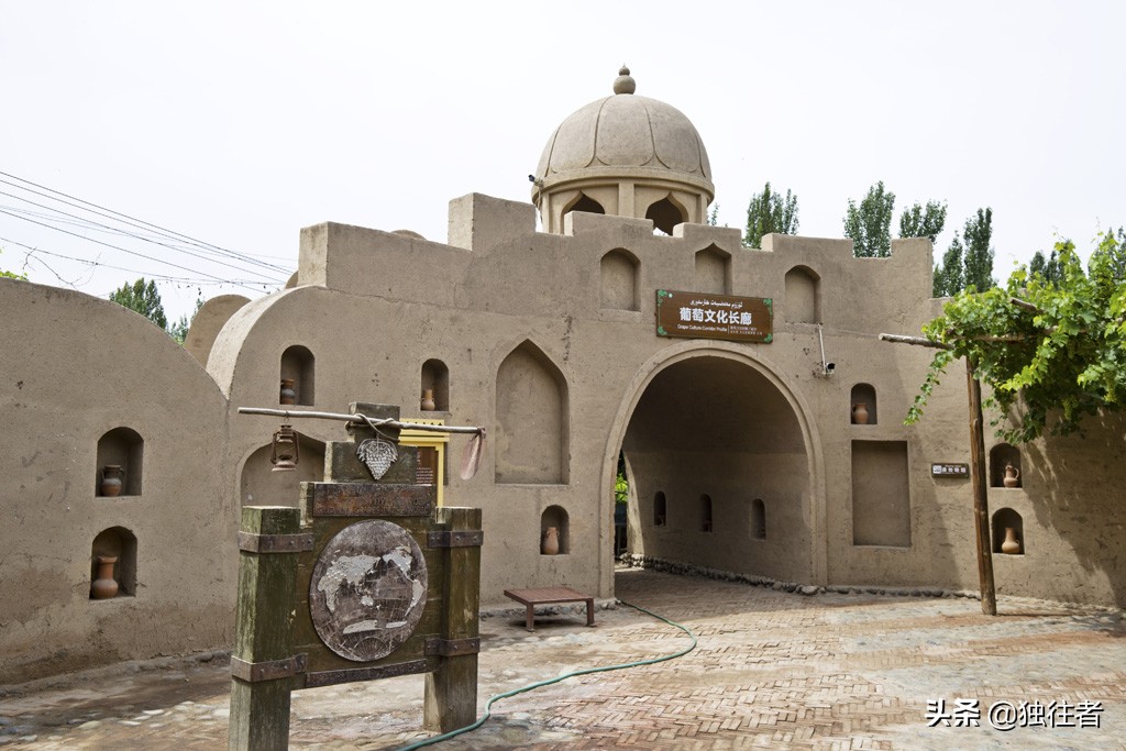 新疆吐鲁番葡萄沟葡萄视频,吐鲁番葡萄沟的葡萄