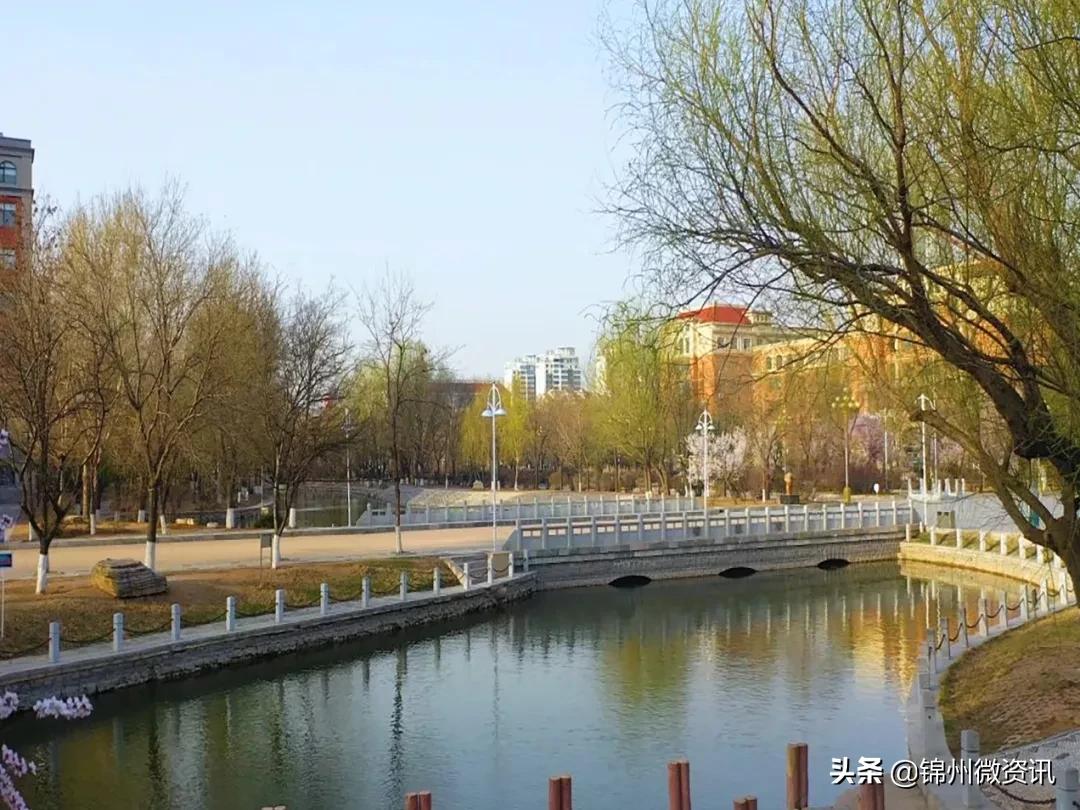 锦州渤海大学校庆献礼!纸短情长,写给我深爱的渤大