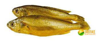 舟山海鲜代加工攻略,最全舟山海鲜攻略